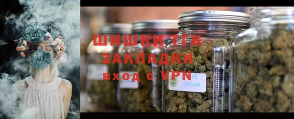 дурь Чердынь